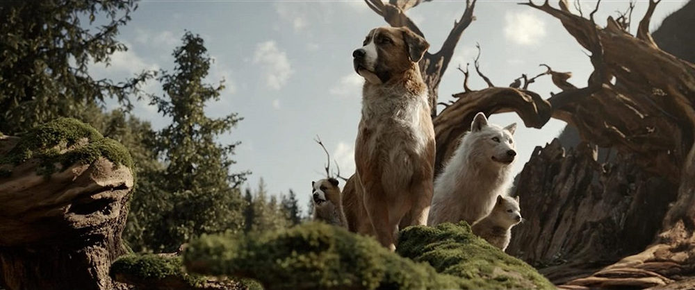 «آوای وحش» (The Call of the Wild)